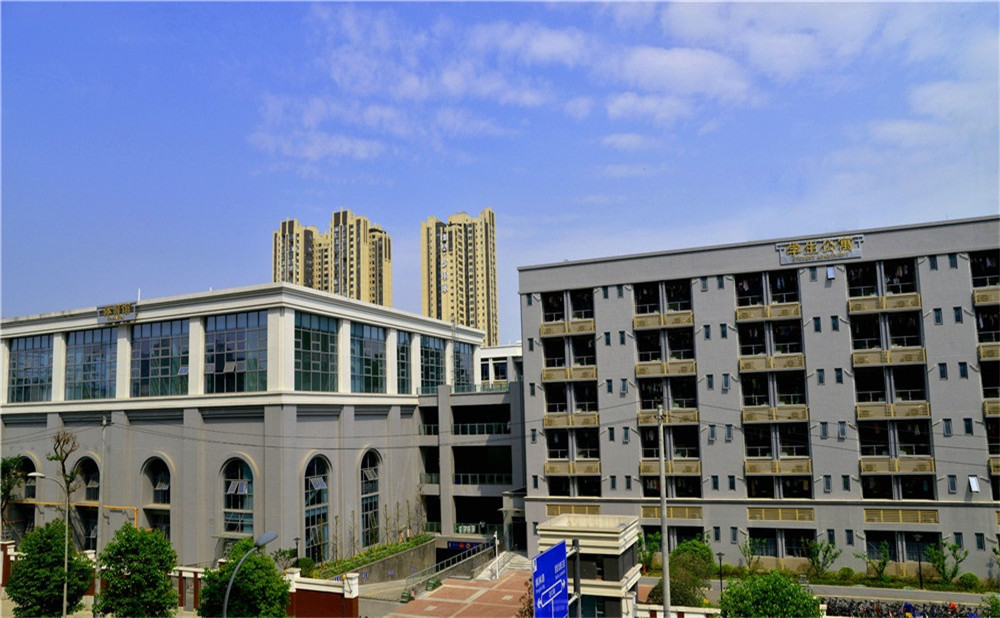 成都市第四十九中學(xué)的錄取分?jǐn)?shù)是多少？