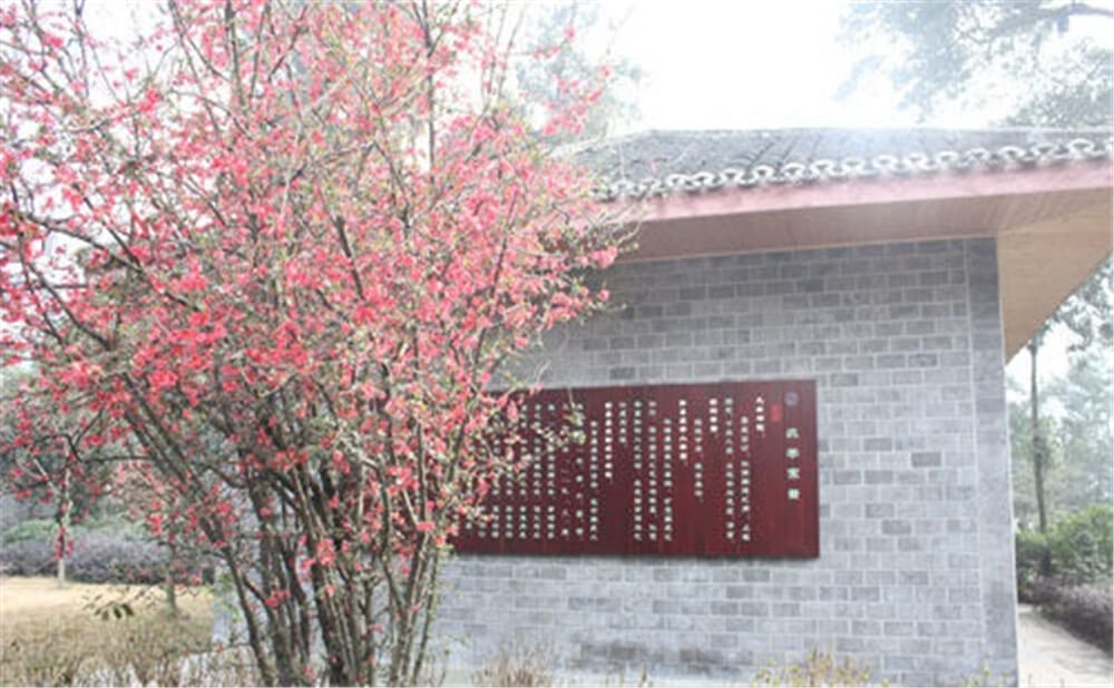 彭州中學(xué)2020年招生標(biāo)準(zhǔn)在哪兒看？