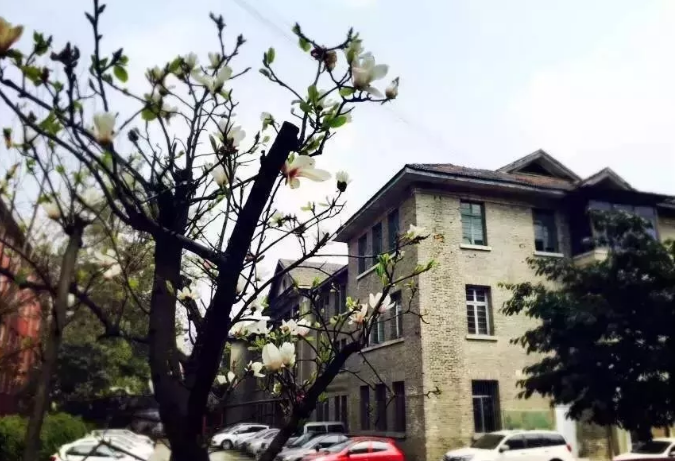 通錦中學(xué)的宿舍怎么樣？