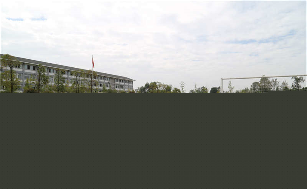 平樂中學(xué)的升學(xué)率是多少？