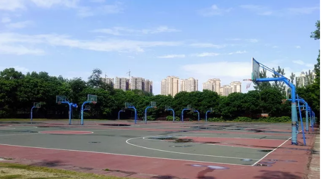 成都實驗外國語學校的本科升學率是多少？
