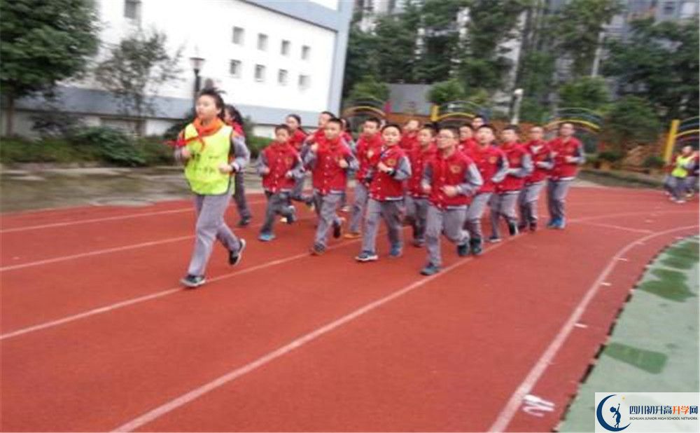 2020成都市泡桐樹中學(xué)的升學(xué)率有多少？