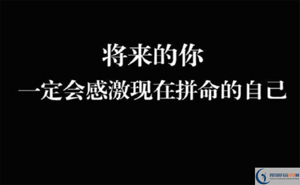 金牛中學(xué)的學(xué)費收費標準是多少？