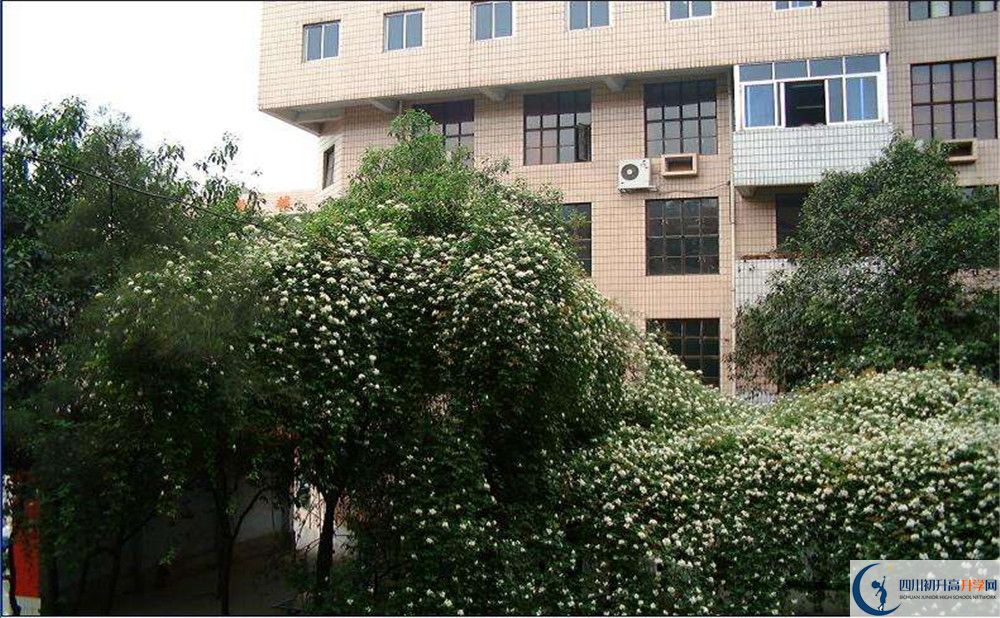 石室聯(lián)合中學(xué)蜀華分校一學(xué)期的學(xué)費(fèi)是多少？