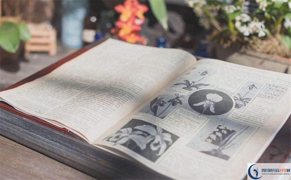 上成都實驗外國語學校的分數(shù)線是多少？