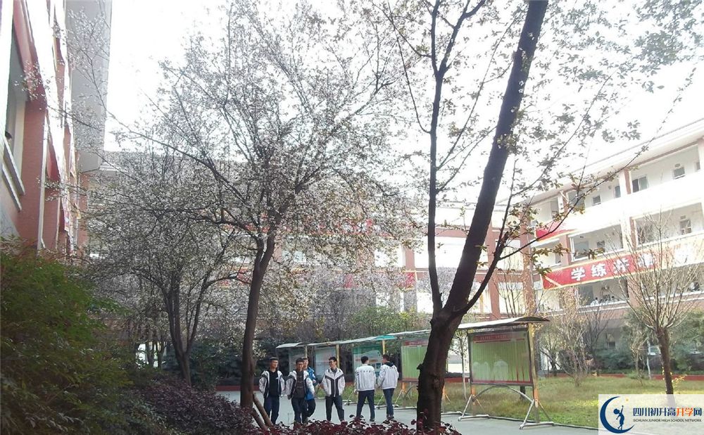 成都三十六中的分數(shù)線大概是多少分？