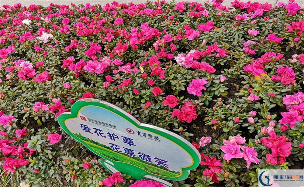 育才學校高中歷年來的分數(shù)線是多少？
