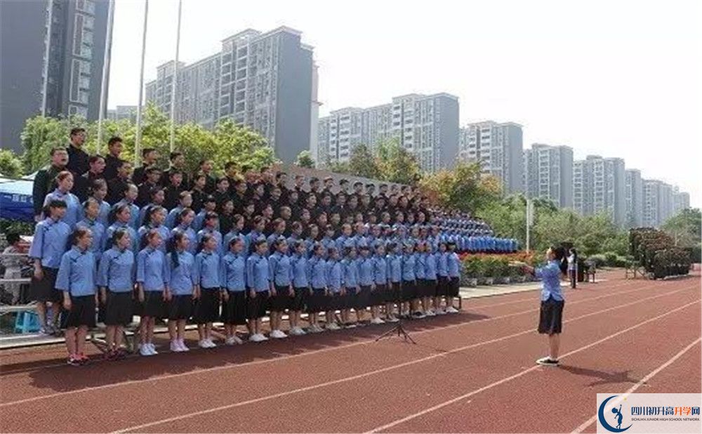 成都三十七中的地址在哪里？