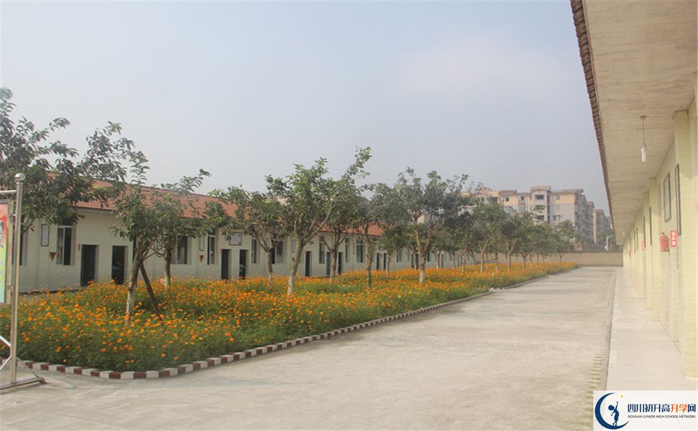 2020年強(qiáng)項(xiàng)實(shí)驗(yàn)中學(xué)自主招生考試報(bào)名時(shí)間是多久？