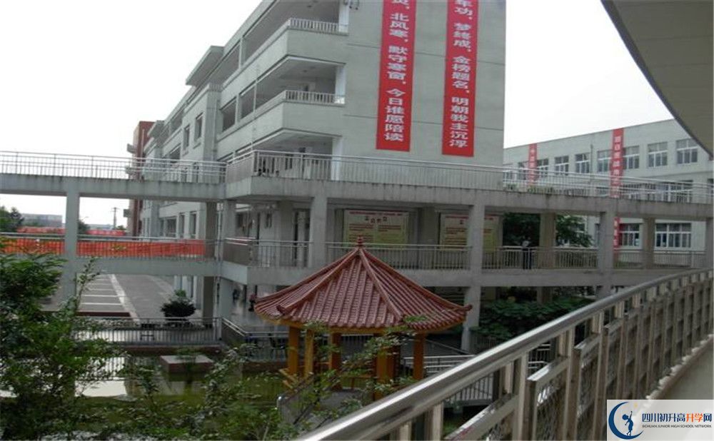 成都市龍泉中學(xué)2020年清華北大人數(shù)是多少？					