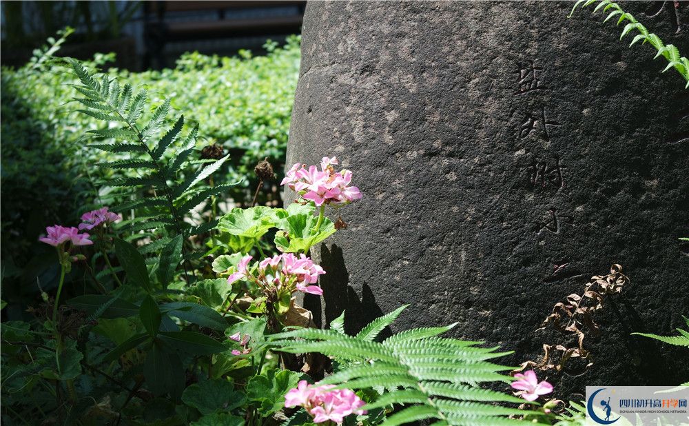 石室聯(lián)合中學(xué)蜀華分校住宿費(fèi)用是多少？
