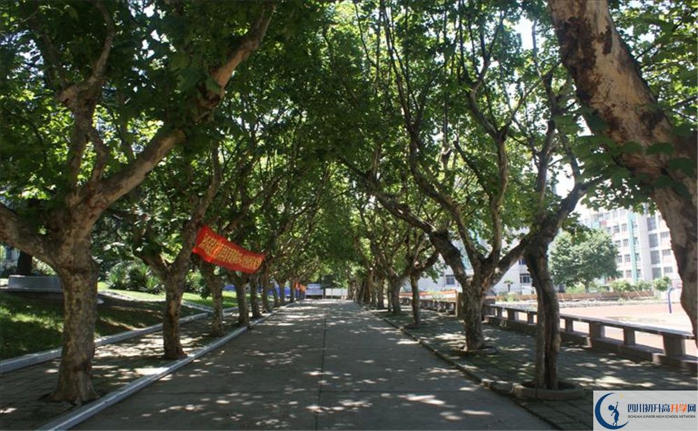 四川師范大學(xué)附屬中學(xué)初升高自主招生錄取線(xiàn)是多少？