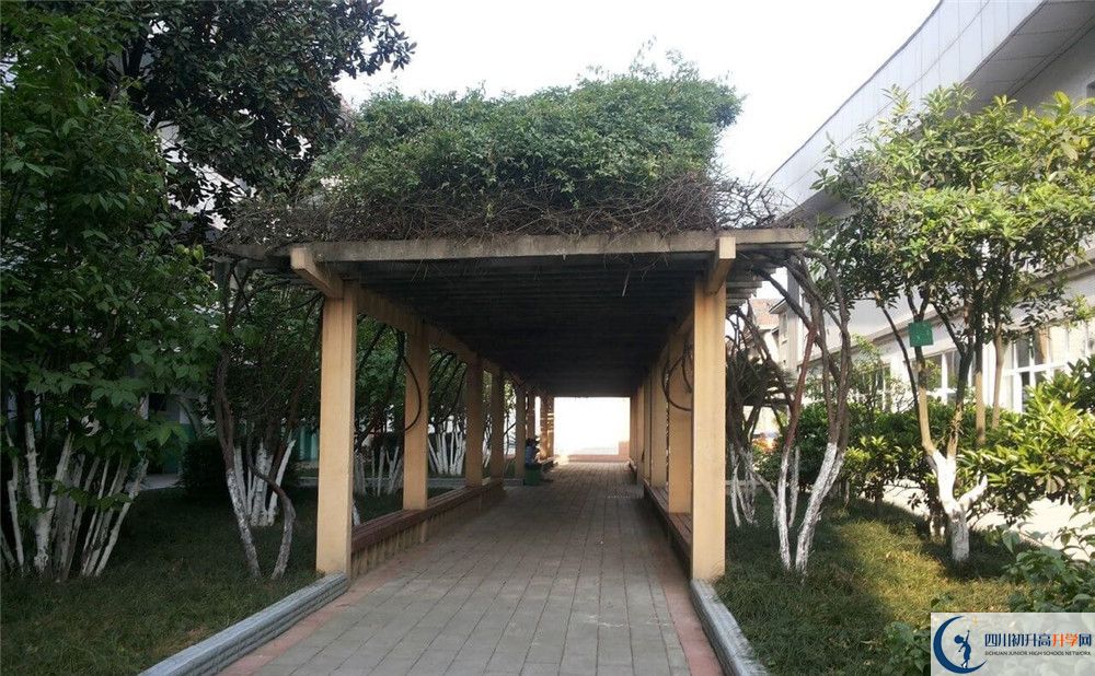 通錦中學(xué)2020年清華北大錄取學(xué)生有多少？