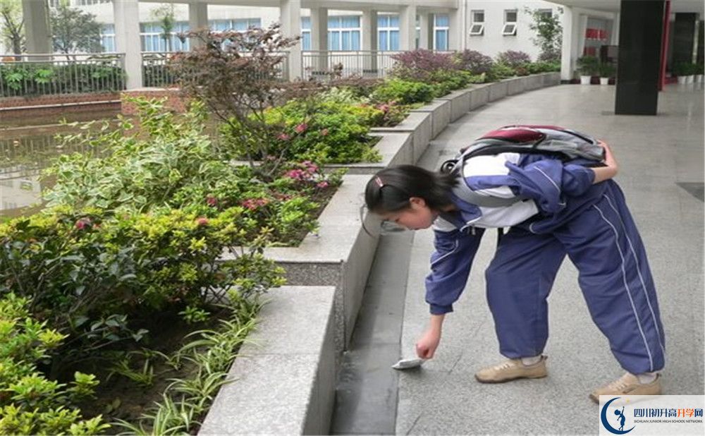 成都市龍泉中學(xué)初升高向外地招生嗎？
