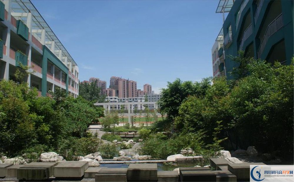 四川師范大學(xué)實(shí)驗(yàn)外國語學(xué)校2020年保送清華北大的人數(shù)？