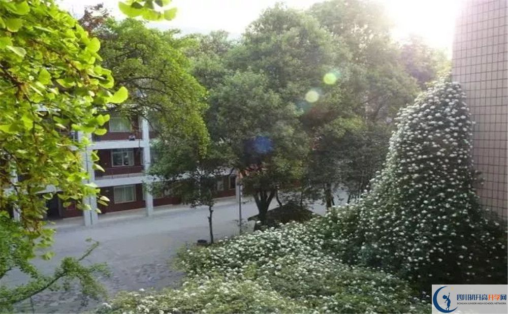 成都市石室聯(lián)中蜀華分校2020年保送清華北大的人數(shù)是多少？
