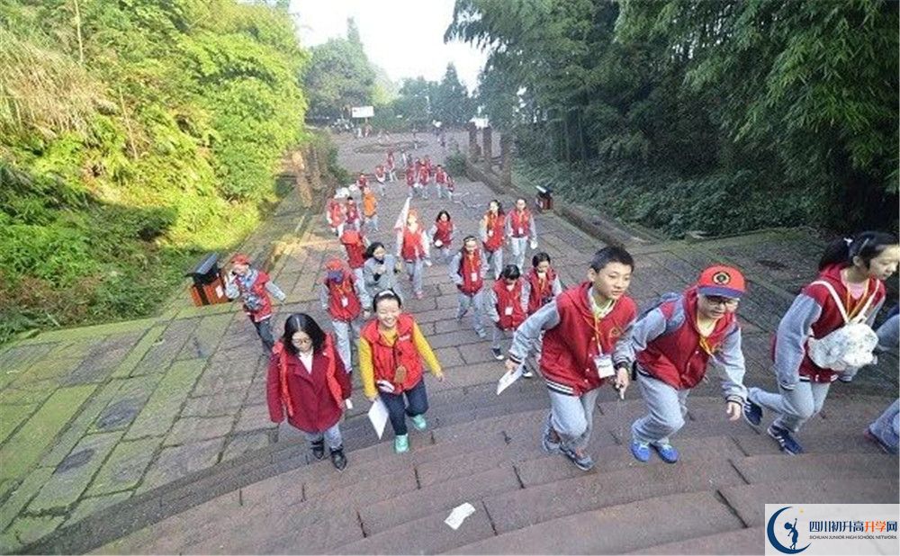成都市泡桐樹中學(xué)2020年保送清華北大的人數(shù)是多少？