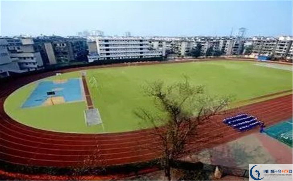 成都實(shí)外新都五龍山學(xué)校招生考試科目有哪些？