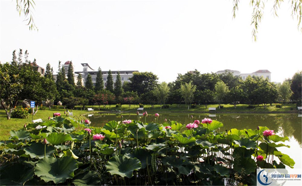 2020四川師范大學(xué)實(shí)驗(yàn)外國(guó)語學(xué)校高中分班考試是好久？