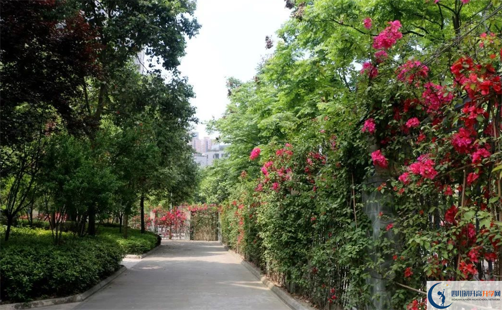 成都市第三中學(xué)平行班與實(shí)驗(yàn)班差多少？