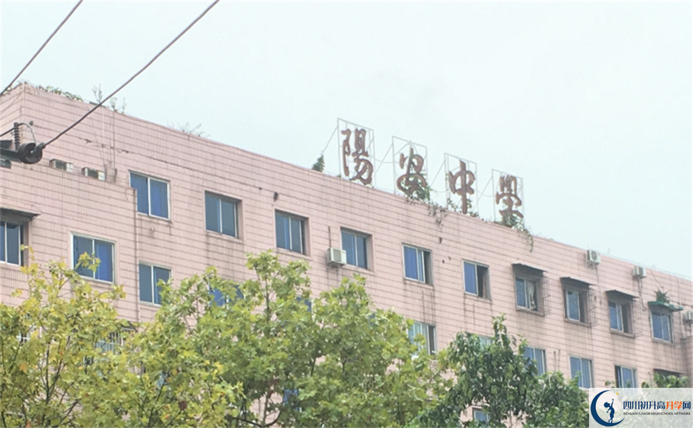 陽(yáng)安中學(xué)初升高難不難？