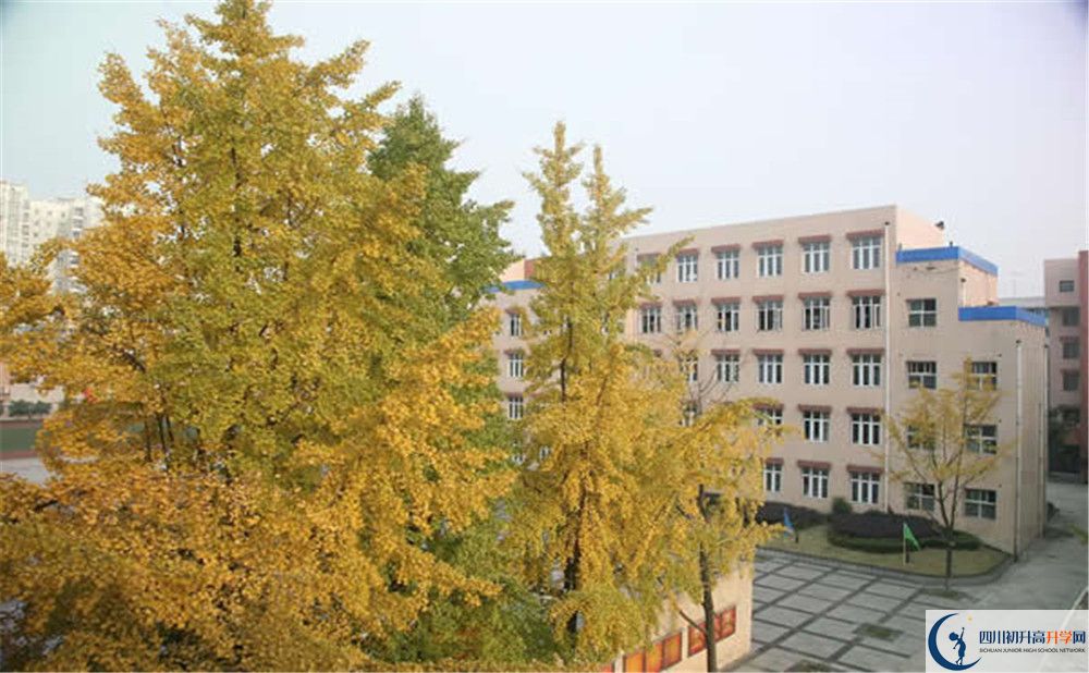 成都西藏中學是私立還是公立學校？