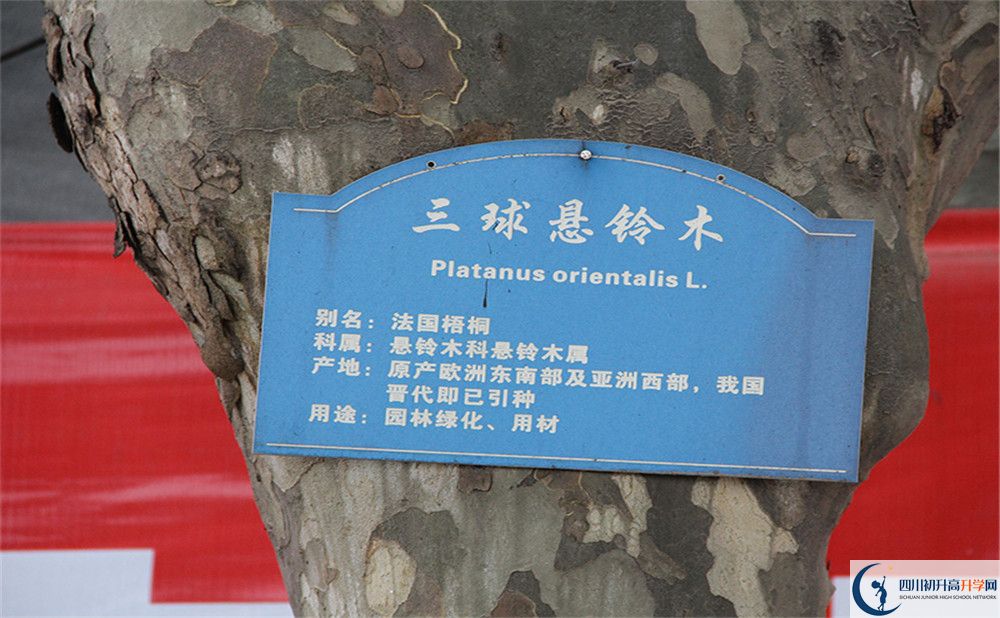 2020成都市第四十九中學(xué)高考重點(diǎn)大學(xué)升學(xué)率高嗎？