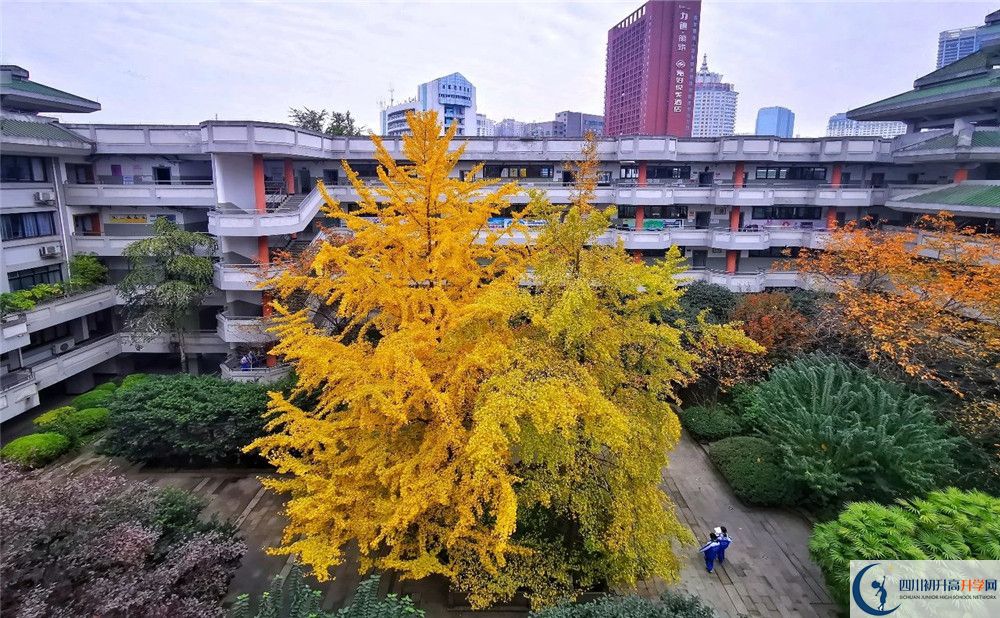 成都市泡桐樹中學(xué)2020年全國排名？