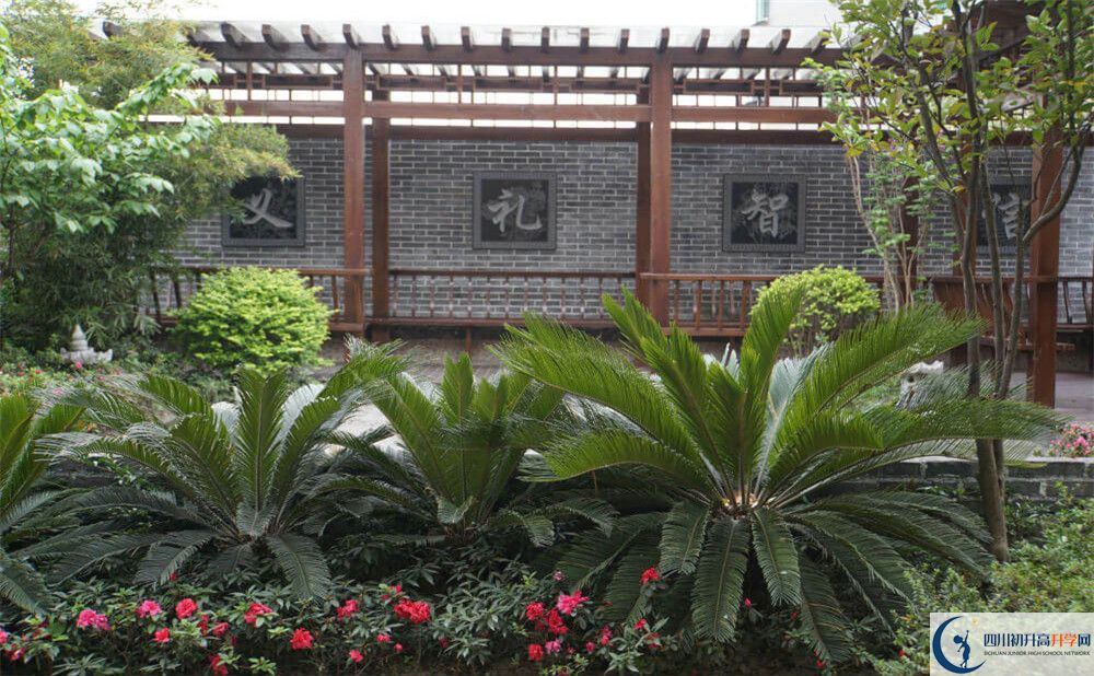 2020成都八中高考重點(diǎn)大學(xué)升學(xué)率是多少？