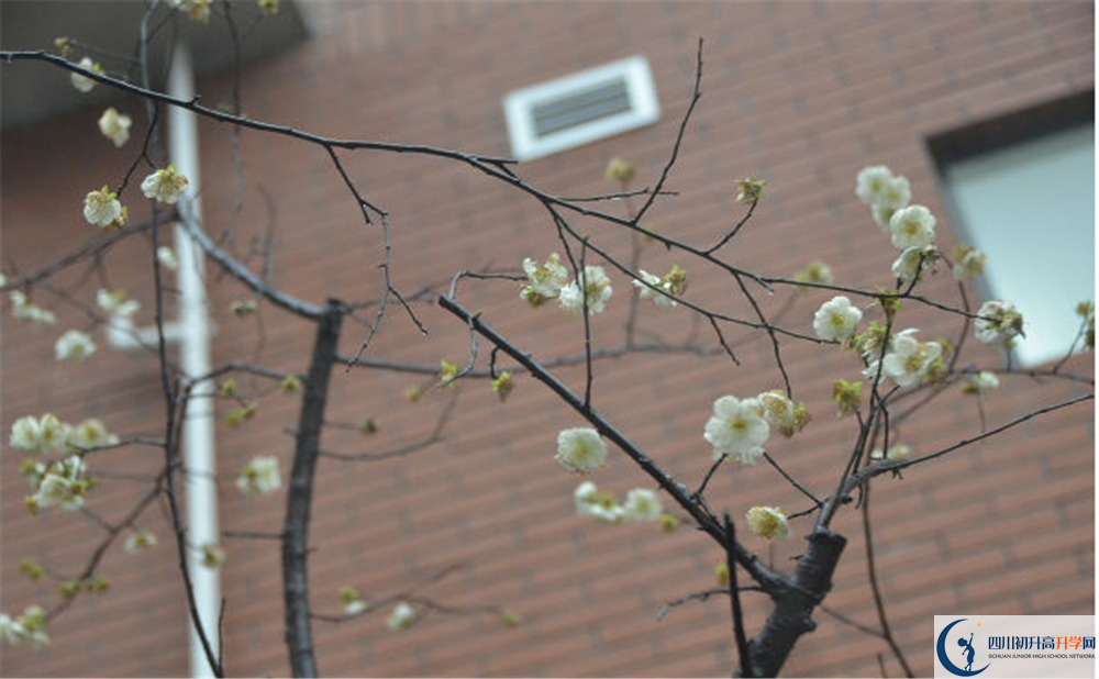 成都市華陽(yáng)中學(xué)是私立還是公立學(xué)校？