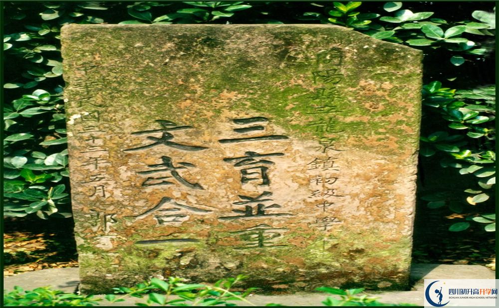 2020成都市龍泉中學期末試卷數(shù)學在哪看？
