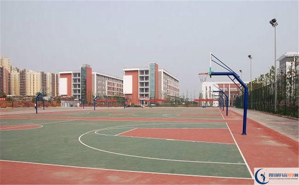 成都經(jīng)濟技術(shù)開發(fā)區(qū)實驗中學(xué)是私立收費嗎？