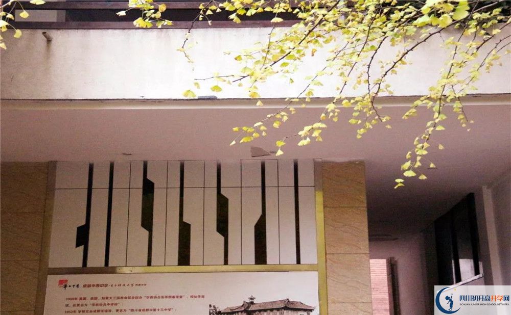 2020四川師范大學(xué)附屬第三實驗中學(xué)初升高分班考試題難嗎？