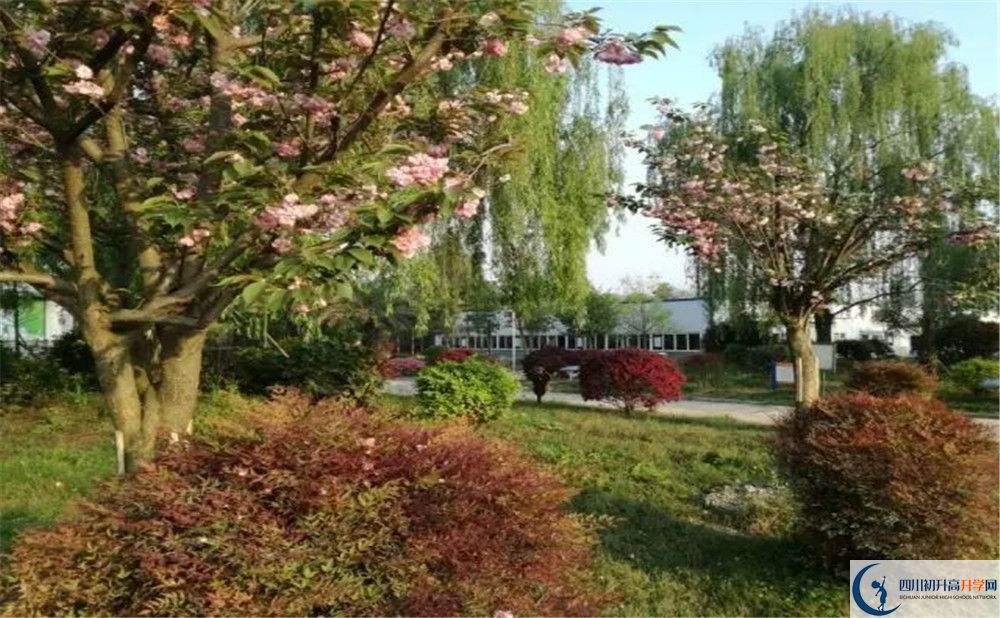 四川師范大學(xué)附屬第三實驗中學(xué)實驗班人數(shù)是多少？
