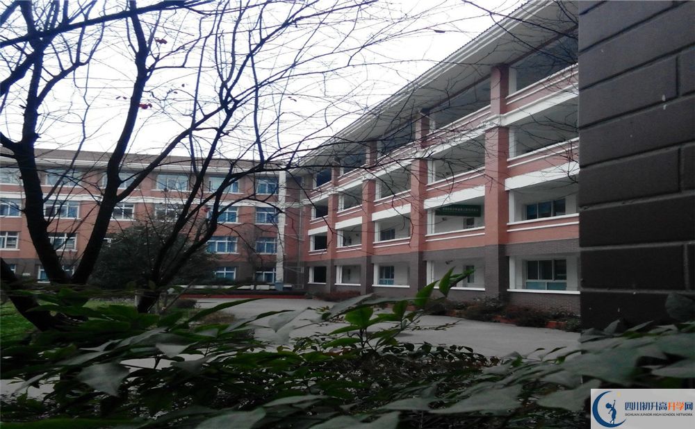 2020崇慶中學中初升高分班考試題難嗎？
