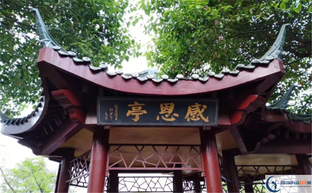 石室白馬中學面向全國招生嗎？