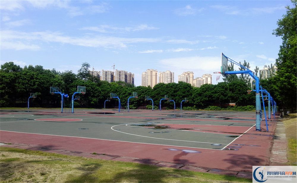 成都實驗外國語學校（西區(qū)）補課嗎？