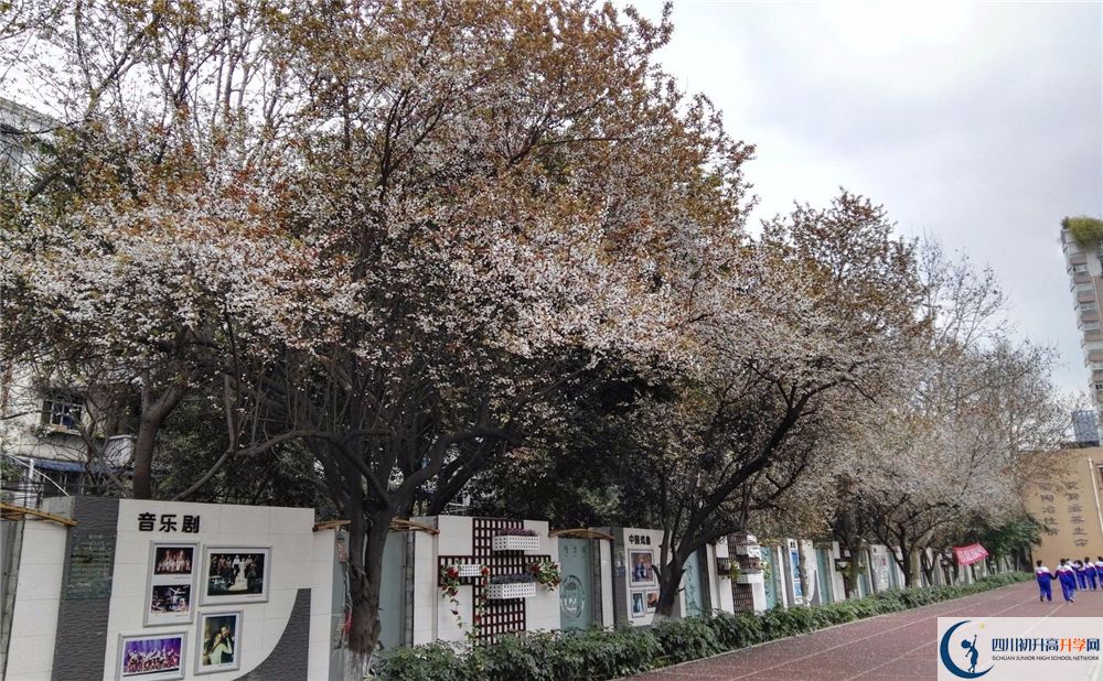2020年成都大學附屬中學軍訓時間安排在哪看？