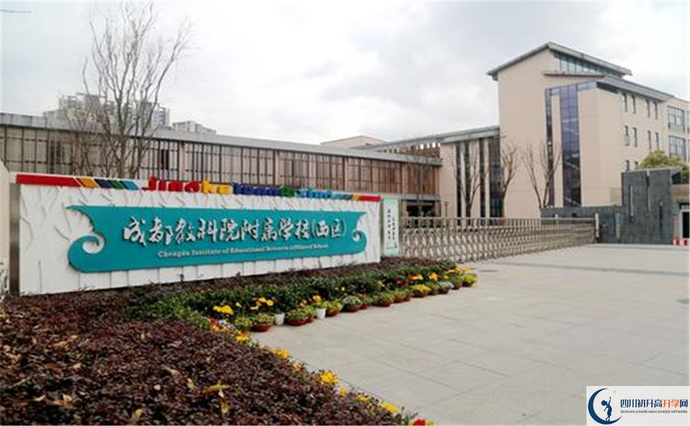 成都教科院附屬學校2020年高考人數是多少？