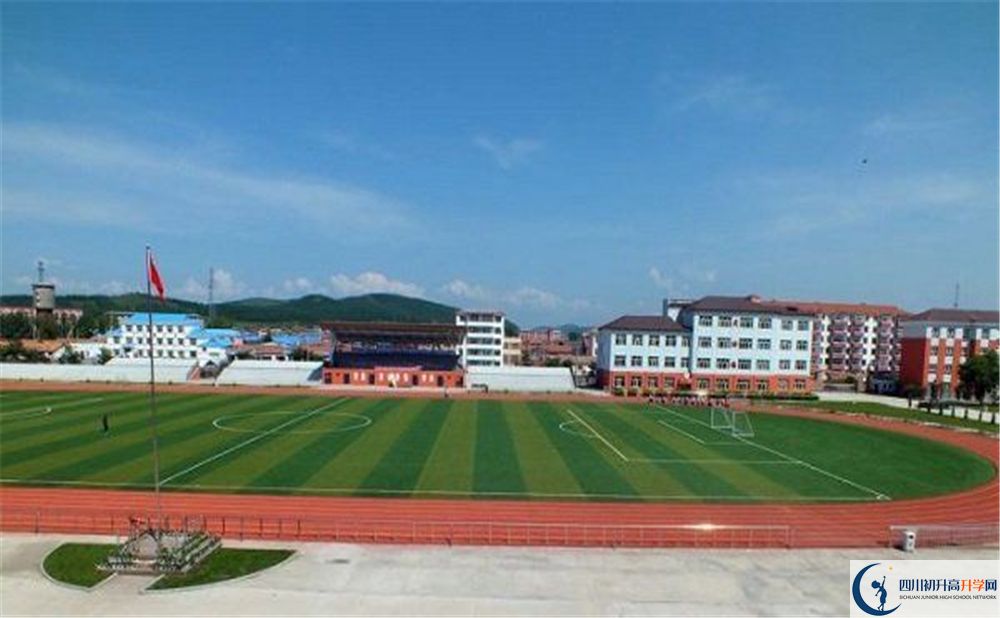成都市華陽中學(xué)2020年高考人數(shù)是多少？