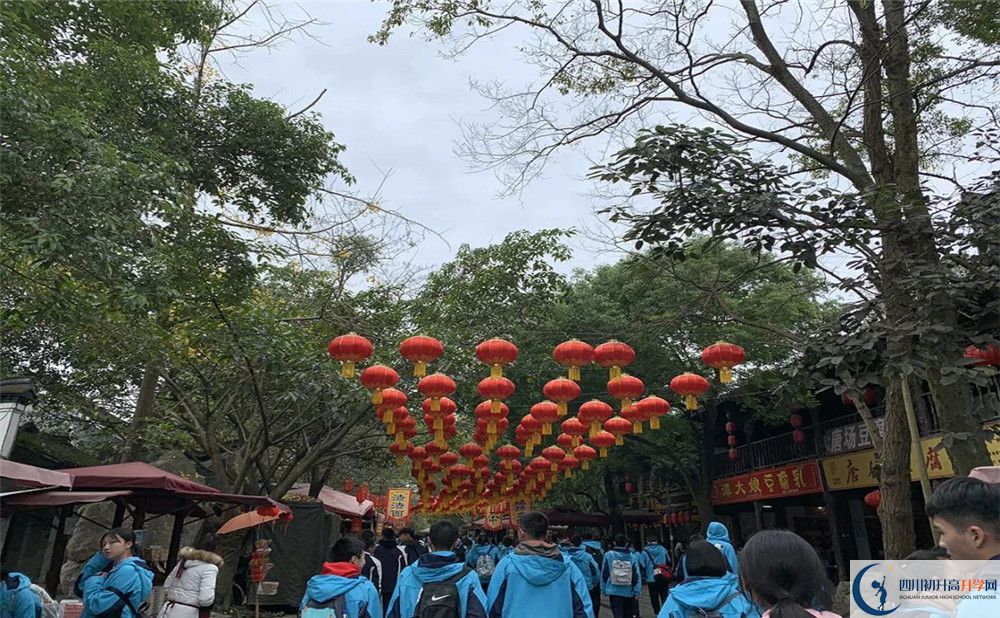 成都玉林中學(xué)2020年收費標準