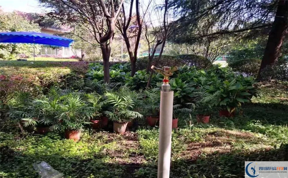 成都三十六中2020年班級設置