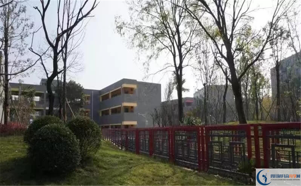 成都綿實外國語學校今年的錄取條件是否有變化？