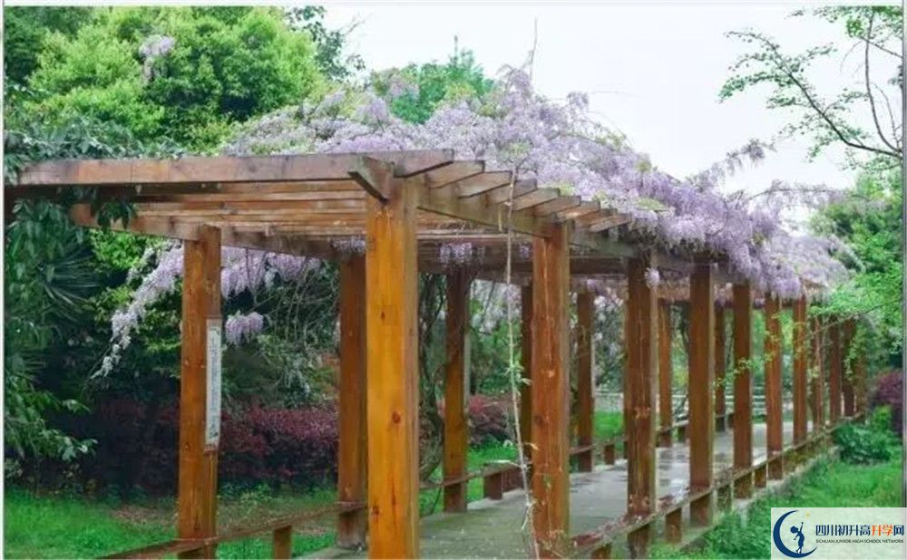 廣安花橋中學(xué)高三診斷考試時間怎么安排？