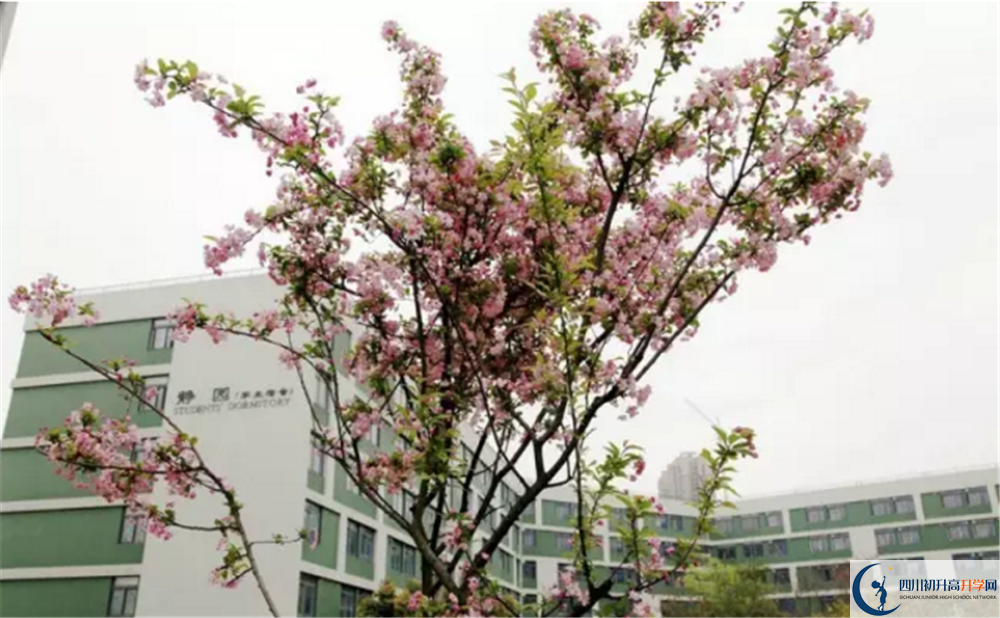 2020年四川省瀘州市實(shí)驗(yàn)中學(xué)初三畢業(yè)時(shí)間如何變化？