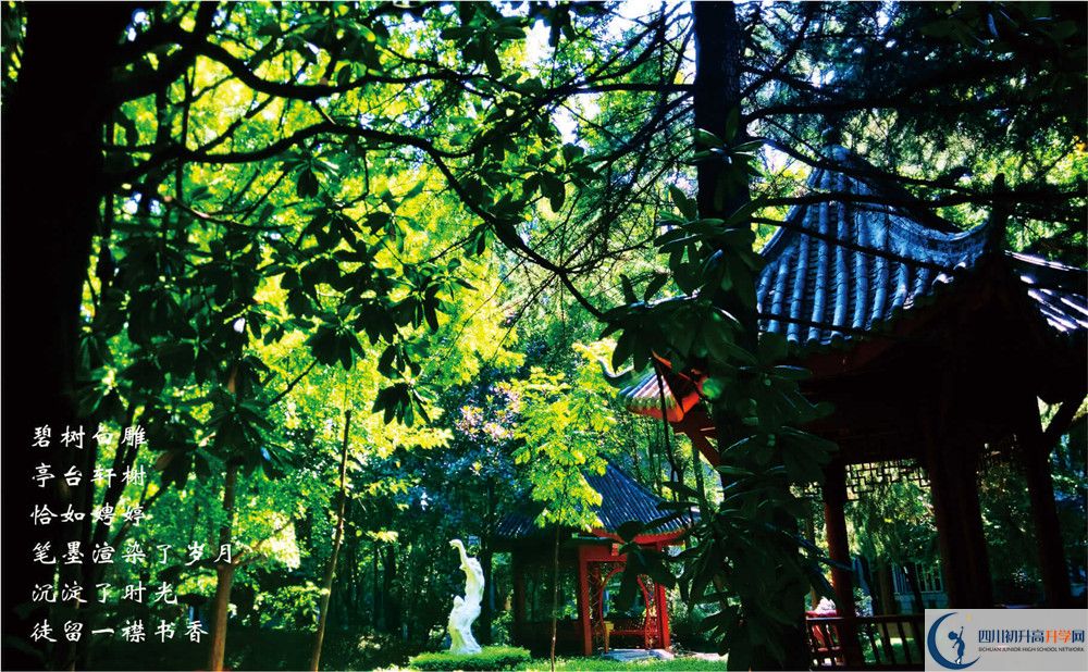 七中高新校區(qū)2020年招生條件是什么？