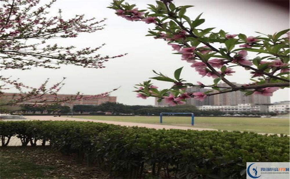 2020年樹德博瑞實驗學校怎么樣？