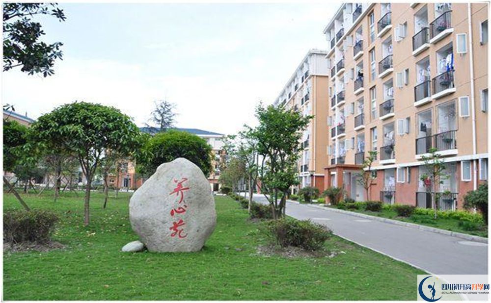 八一聚源高級(jí)中學(xué)2020年怎么樣？